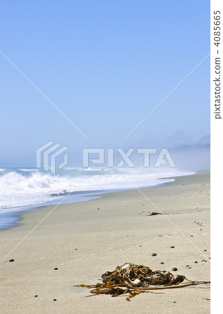 Coast of Pacific ocean in Canada 4085665