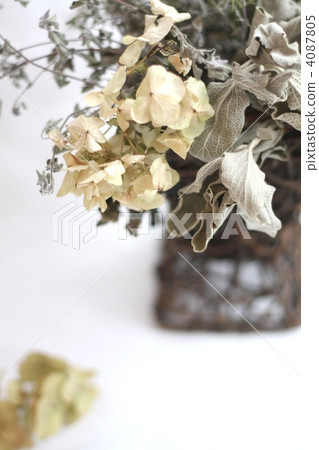 Arrangement of dry herbs and hydrangeas Arrangement of dry herbs and hydrangeas 4087805
