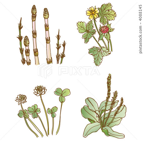 Spring flowers 2 4088145