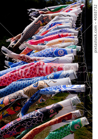 Carp streamer 4088732