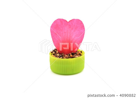 心臟發芽 4090882