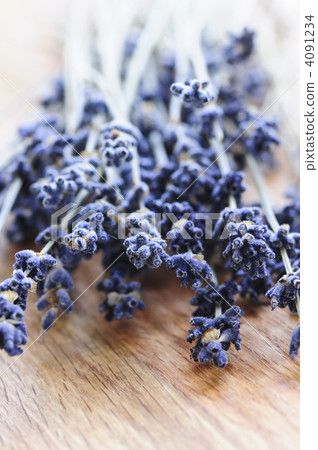 Dried lavender 4091234