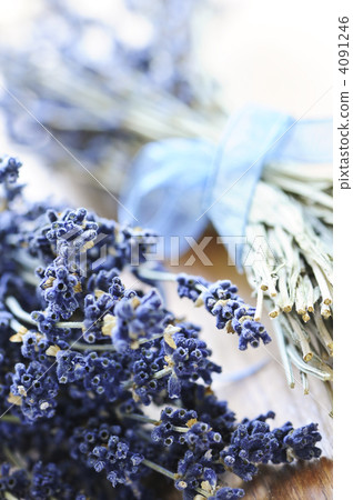 Dried lavender 4091246