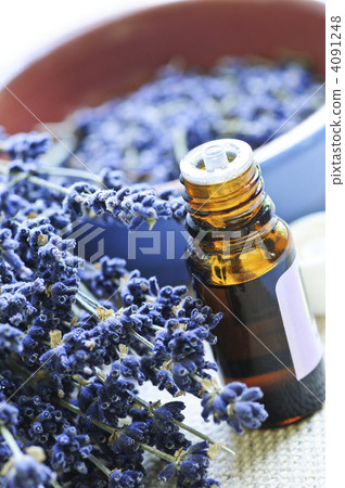 Lavender herb and essential oil 4091248