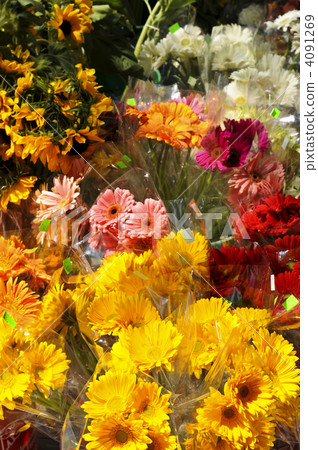 Flowers for sale Flowers for sale 4091269