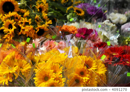 Flowers for sale 4091270