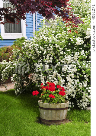 Front yard of a house Front yard of a house 4091271