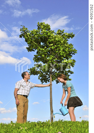 Planting a tree 4091562