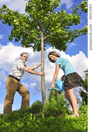 Planting a tree 4091563