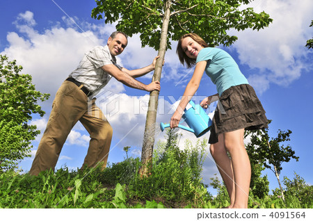 Planting a tree 4091564