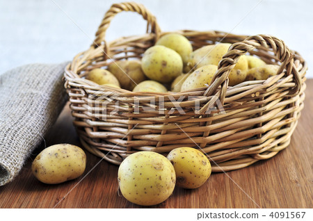 Row potatoes 4091567