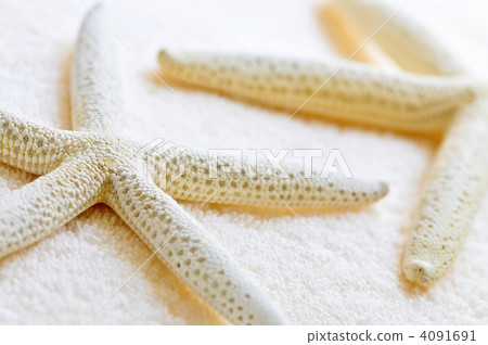 Starfish and towels 4091691