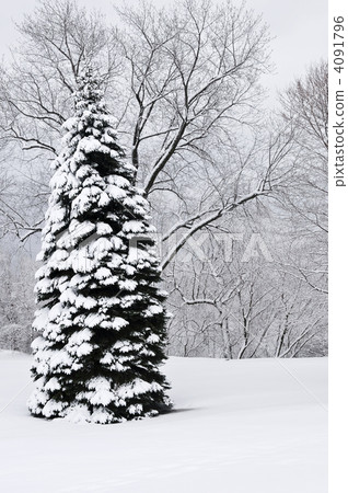 Winter park landscape 4091796