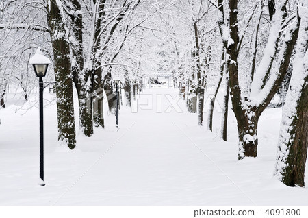 Lane in winter park Lane in winter park 4091800