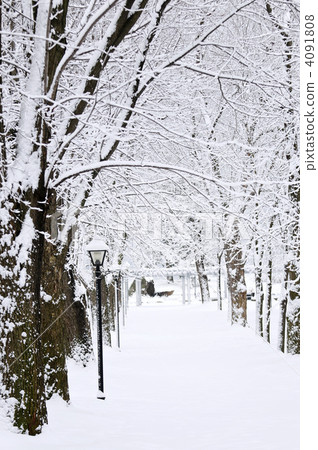 Lane in winter park 4091808