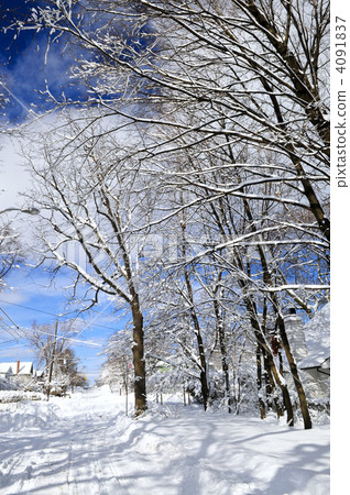 Winter street 4091837