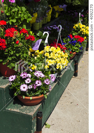 Flower baskets for sale Flower baskets for sale 4092270
