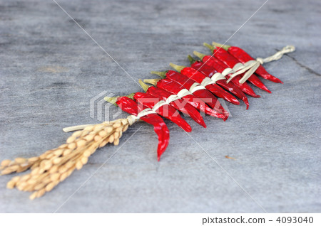 紅辣椒 4093040