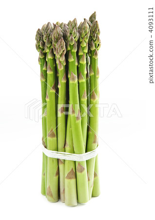 Asparagus Asparagus 4093111