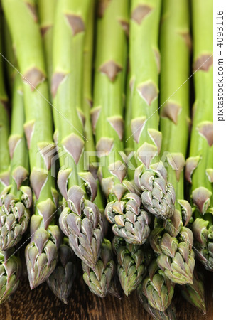 Asparagus Asparagus 4093116