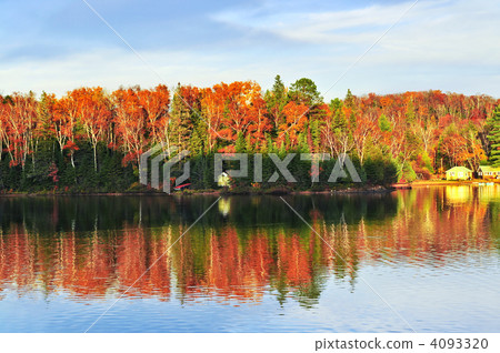Fall forest reflections 4093320