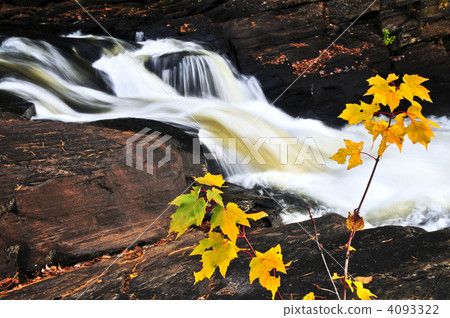 Forest river in the fall Forest river in the fall 4093322