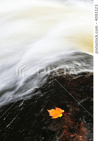 Leaf floating in river Leaf floating in river 4093323