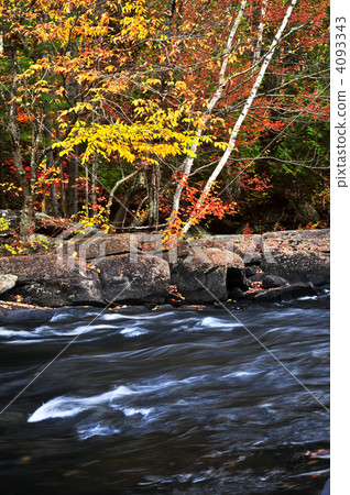 Fall forest and river landscape Fall forest and river landscape 4093343