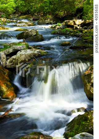 River through woods 4093688