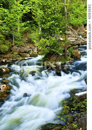 River through woods 4093691