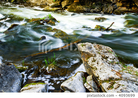 River through woods River through woods 4093699