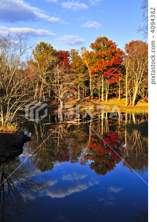 Fall forest reflections 4094382