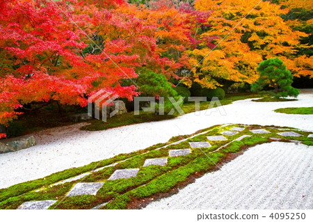 Nanzenji和Tensenan的花園 4095250