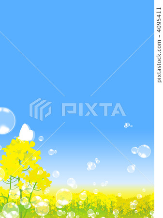 油菜田 4095411
