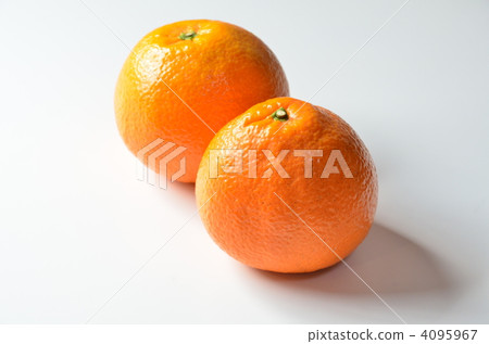 伊予柑 柑橘 水果 4095967