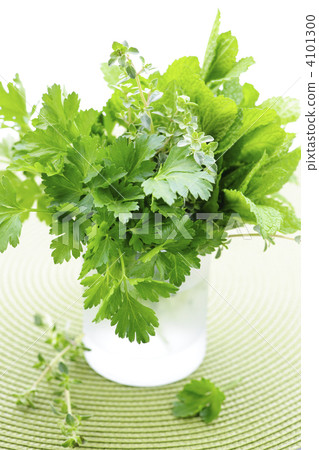 Fresh herbs in a glass Fresh herbs in a glass 4101300