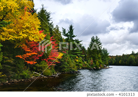 Fall forest and lake shore Fall forest and lake shore 4101313