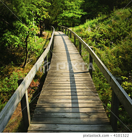 Wooden walkway through forest 4101322