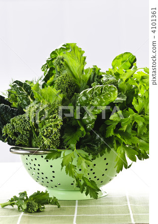 Dark green leafy vegetables in colander 4101361