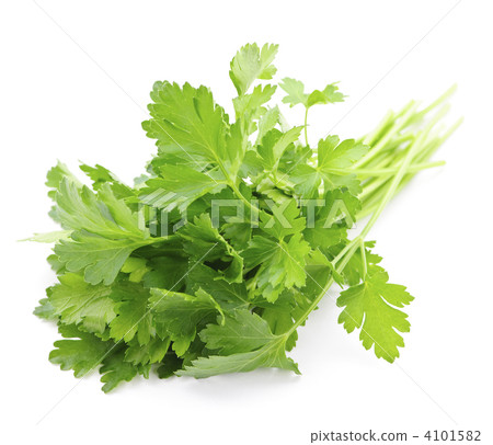 Fresh parsley on white background 4101582
