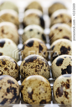 Quail eggs 4101689