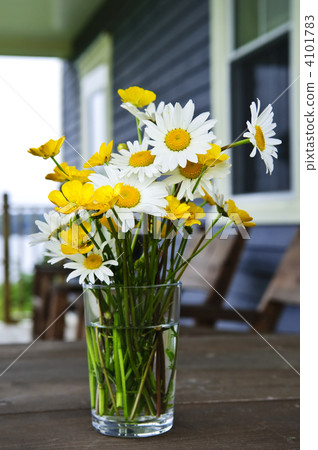 Wildflowers bouquet at cottage Wildflowers bouquet at cottage 4101783