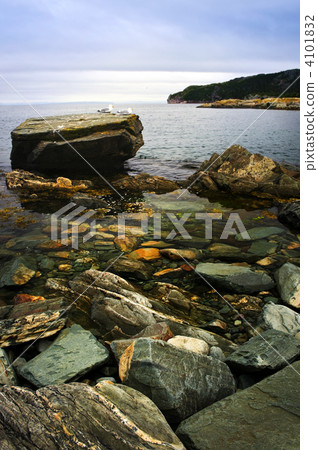 Atlantic coast in Newfoundland 4101832