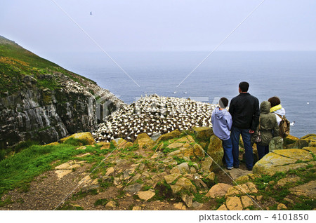 Family visiting Cape St. Mary's Ecological Bird Sanctuary in Newfoundland 4101850