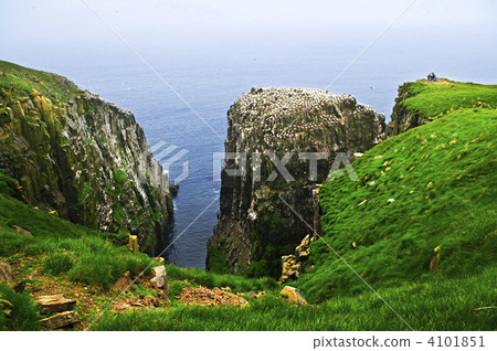 Clilffs at Cape St. Mary's Ecological Bird Sanctuary 4101851