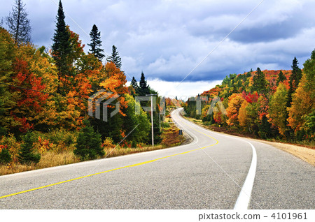Fall highway 4101961