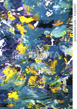 Colorful tropical fish 4102007