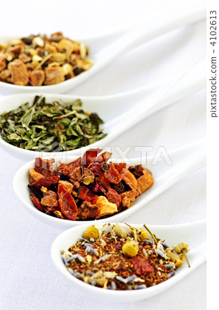 Assorted herbal wellness dry tea in spoons 4102613