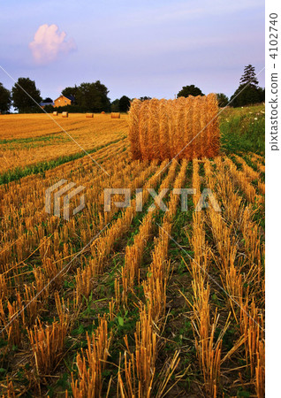 Farm field at dusk Farm field at dusk 4102740