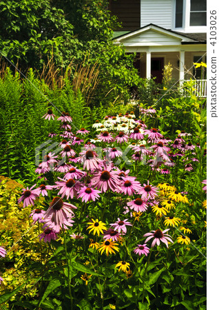 Residential garden landscaping Residential garden landscaping 4103026